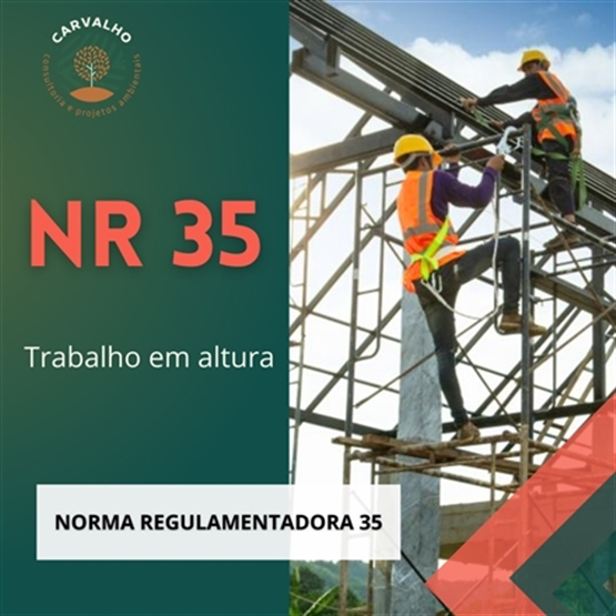 Treinamento Nr 35 2023 2453